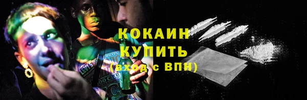 сатива Кодинск