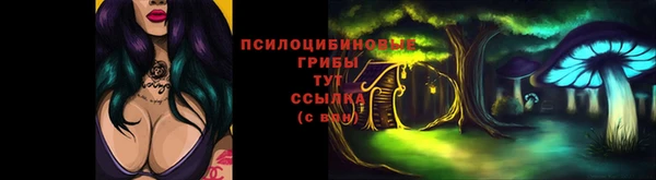 COCAINE Козельск