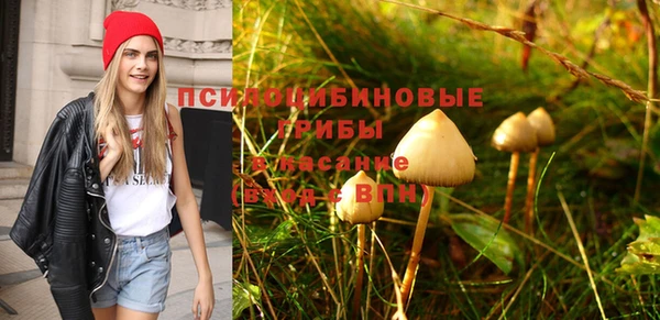 метадон Козловка
