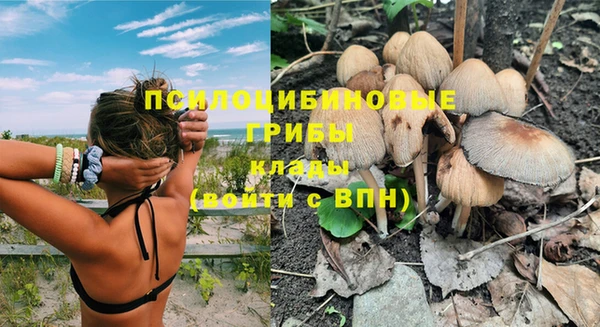 метадон Козловка