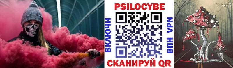 Купить  Красноармейск  Псилоцибиновые грибы Psilocybine cubensis 